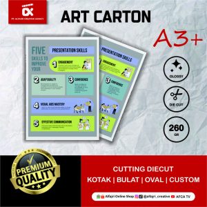 Doku Paper A3+ Carton Paper