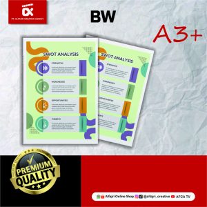 Doku Paper A3+ BW Paper